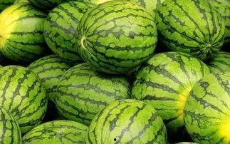 51大赛吃瓜大赛下载,一场全民参与的美食盛宴